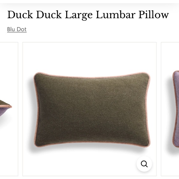 Blu Dot Lumbar Cushions - Picture 4 of 14